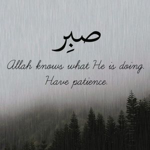 Meet your Posher, Tabarak